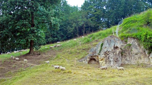 Bron Westelijk Mergelland