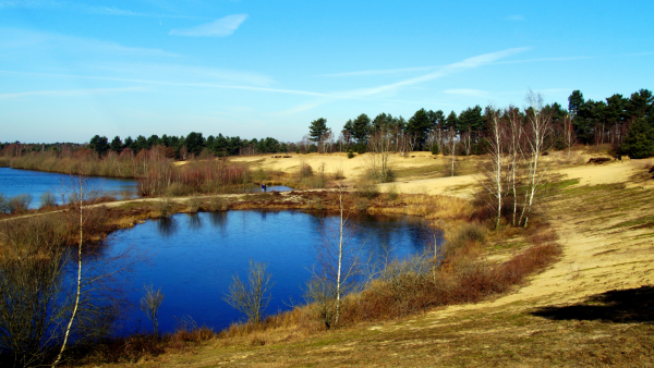 Bron Maasduinen