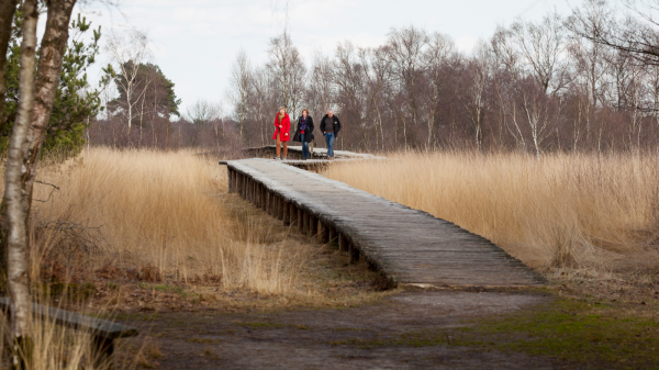 Gemeente Horst aan de Maas